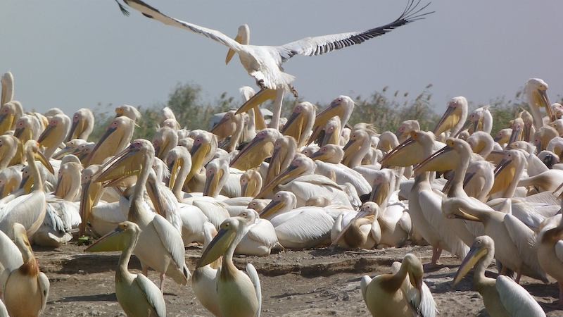 Monde | Retrouvez toute l'actualité du Maroc et du monde, en temps réel, sur le premier site d'information francophone au Maroc : www.le360.ma