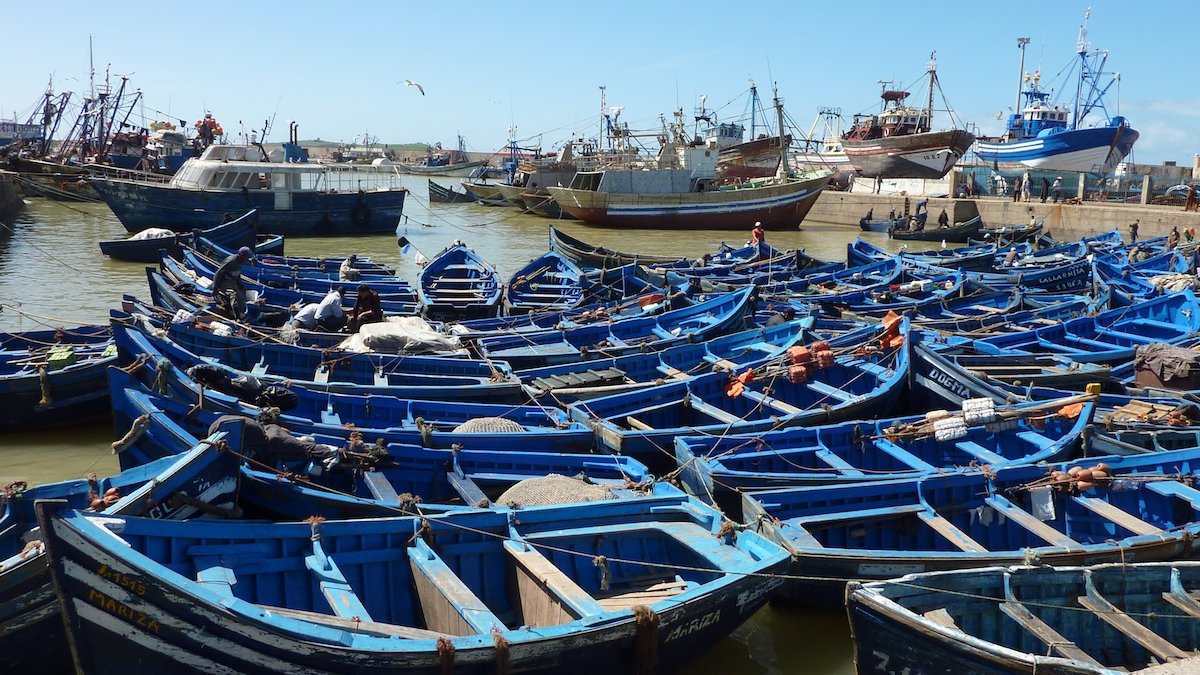 Société | Retrouvez toute l'actualité du Maroc et du monde, en temps réel, sur le premier site d'information francophone au Maroc : www.le360.ma