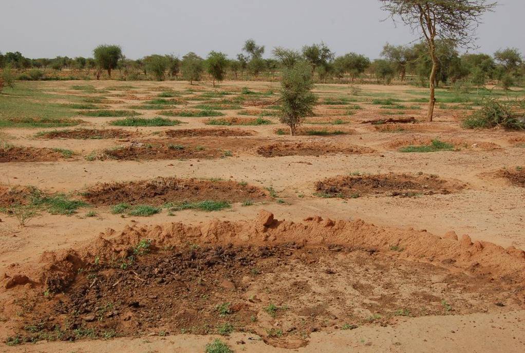 Politique | Toute l'actualité et les dernières informations sur les pays du continent africain et du Monde - Le360 Afrique