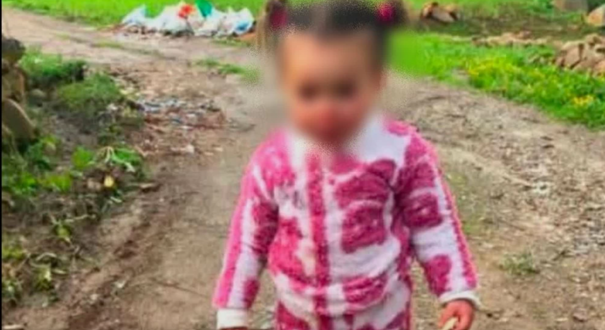 Société | Retrouvez toute l'actualité du Maroc et du monde, en temps réel, sur le premier site d'information francophone au Maroc : www.le360.ma