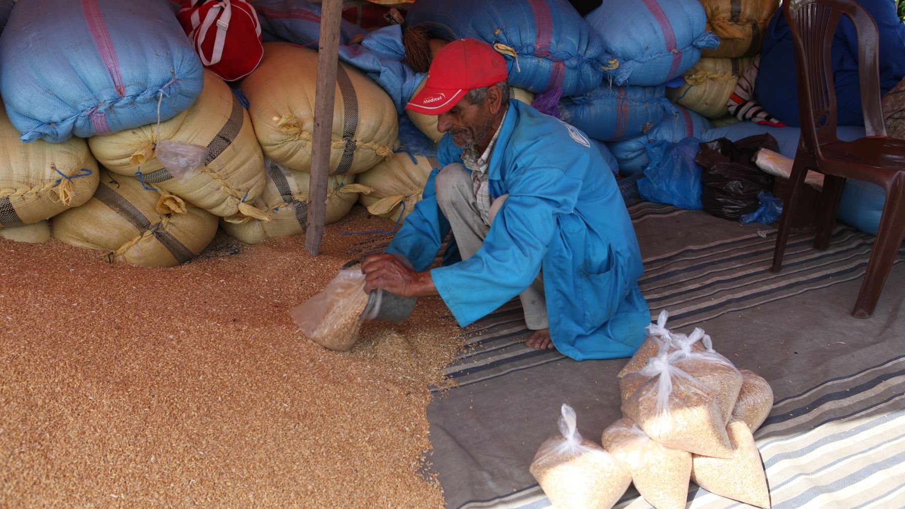 يعتبر القمح الطري اختيار المغاربة لدفع زكاة الفطر

