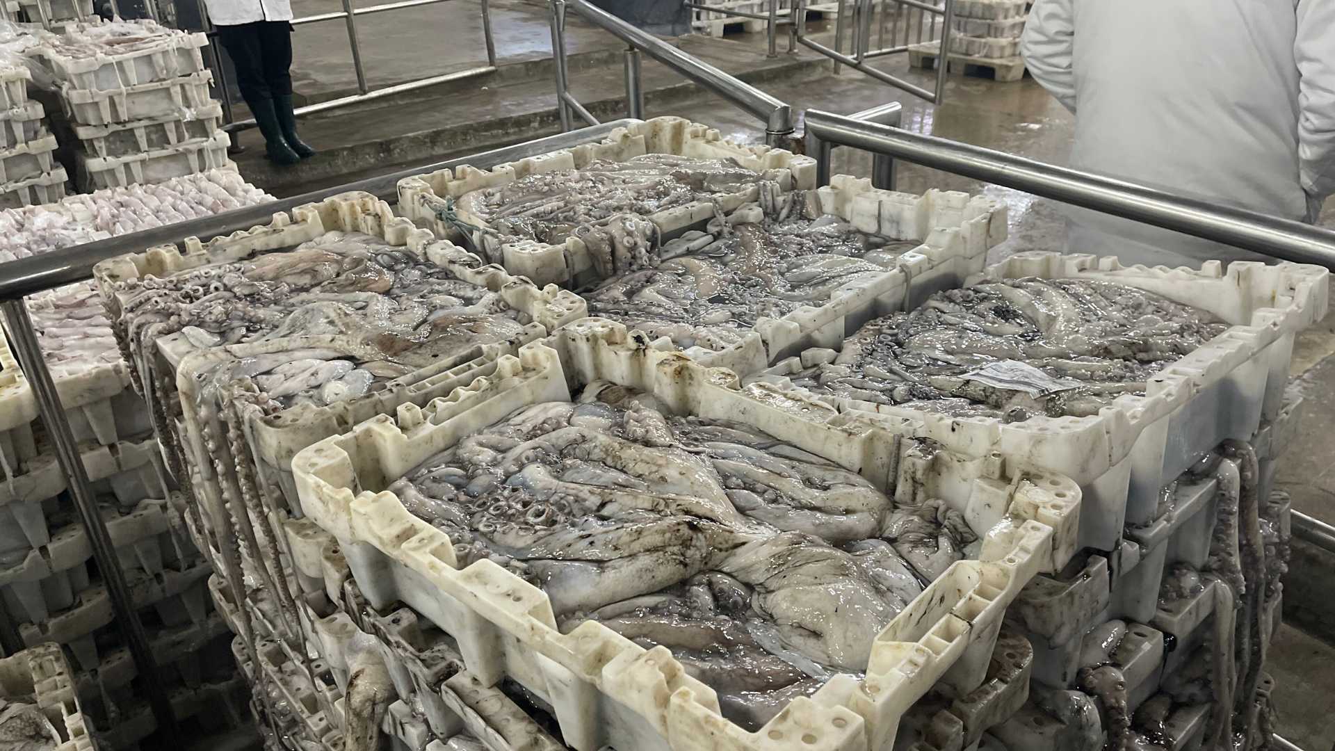 Economie | Retrouvez toute l'actualité du Maroc et du monde, en temps réel, sur le premier site d'information francophone au Maroc : www.le360.ma