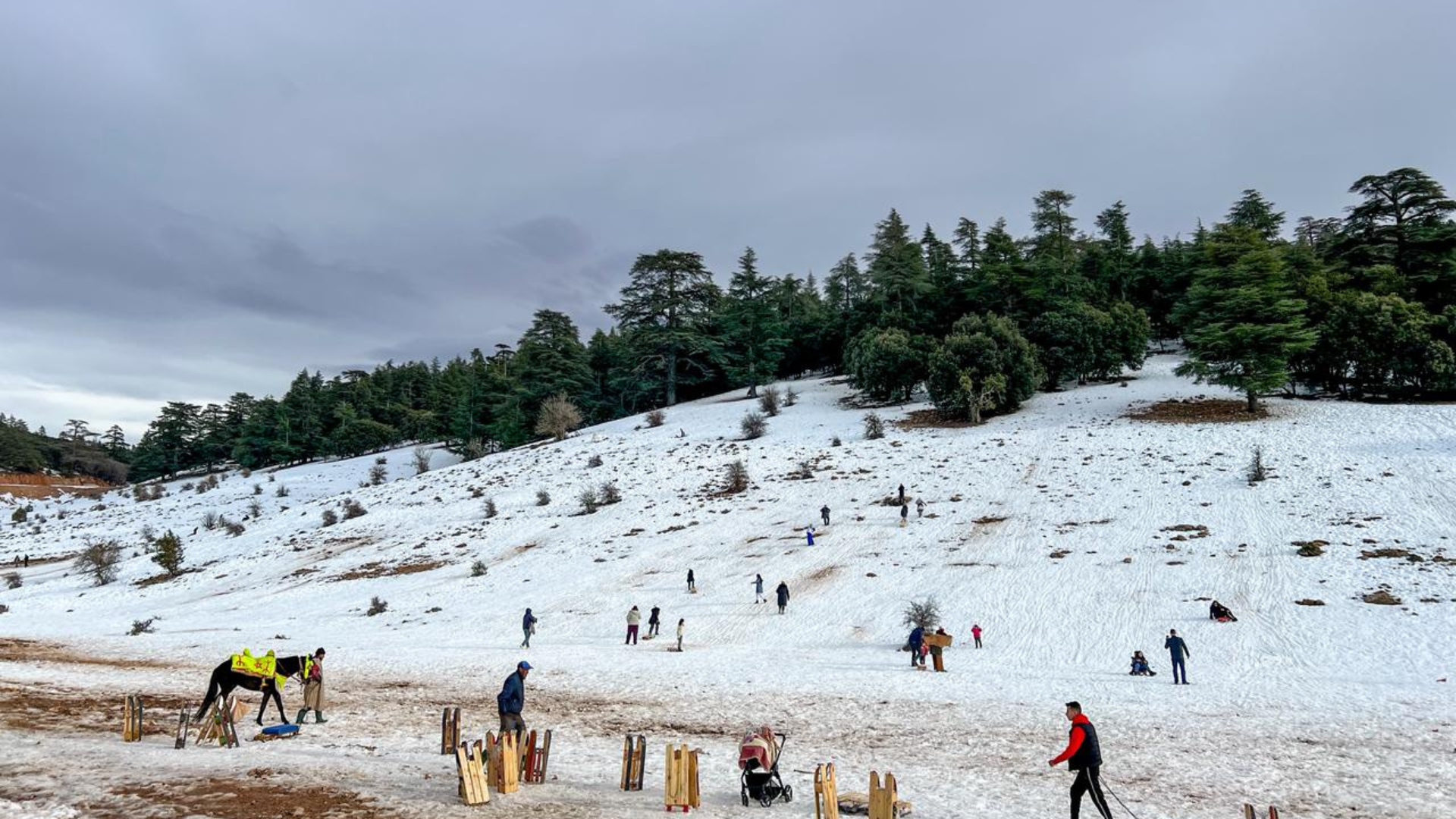 Société | Retrouvez toute l'actualité du Maroc et du monde, en temps réel, sur le premier site d'information francophone au Maroc : www.le360.ma