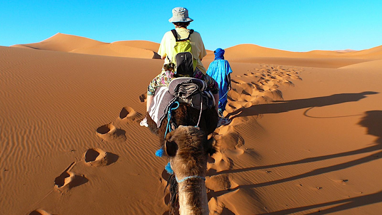 Economie | Retrouvez toute l'actualité du Maroc et du monde, en temps réel, sur le premier site d'information francophone au Maroc : www.le360.ma