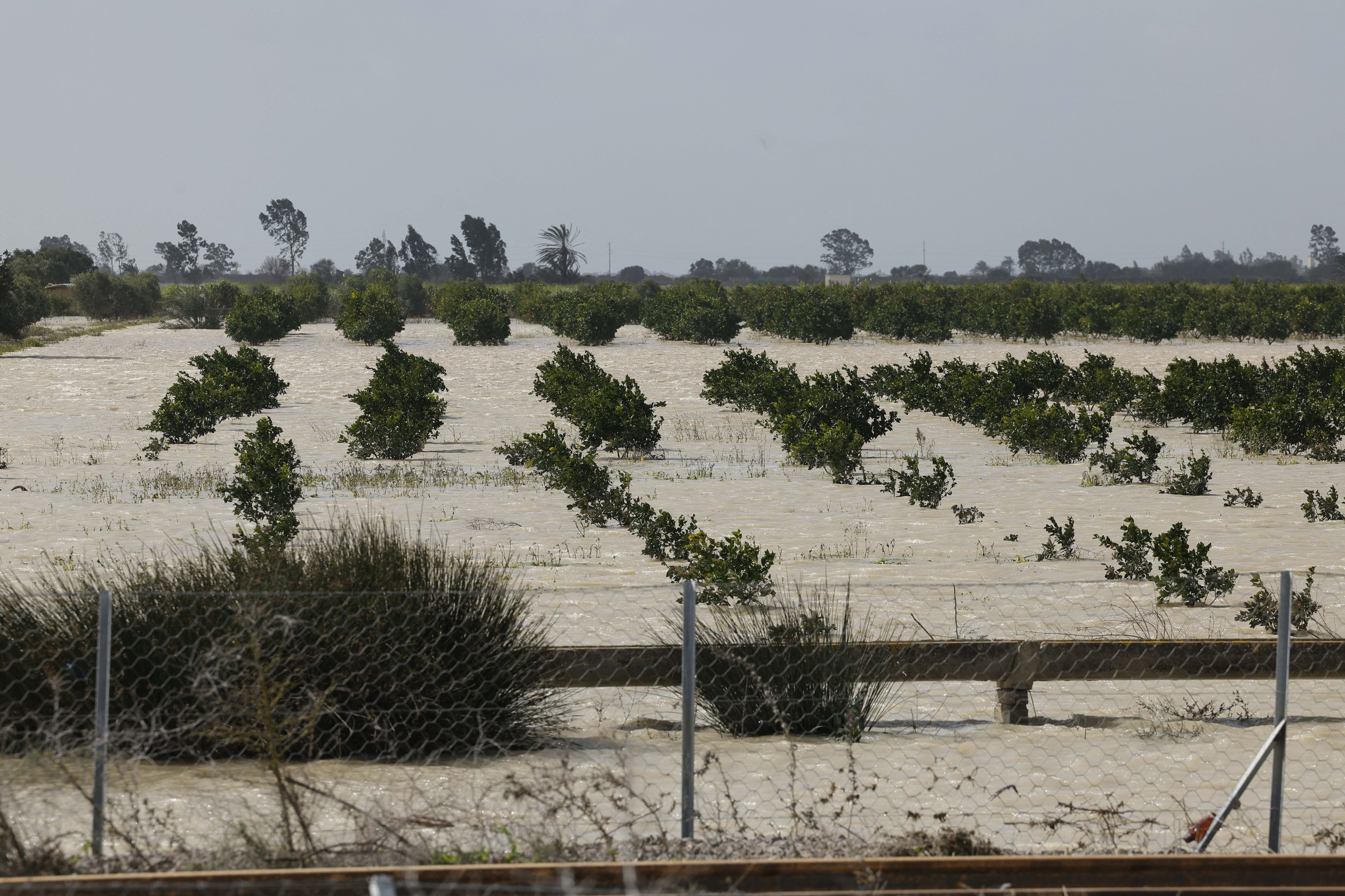 Economie | Retrouvez toute l'actualité du Maroc et du monde, en temps réel, sur le premier site d'information francophone au Maroc : www.le360.ma