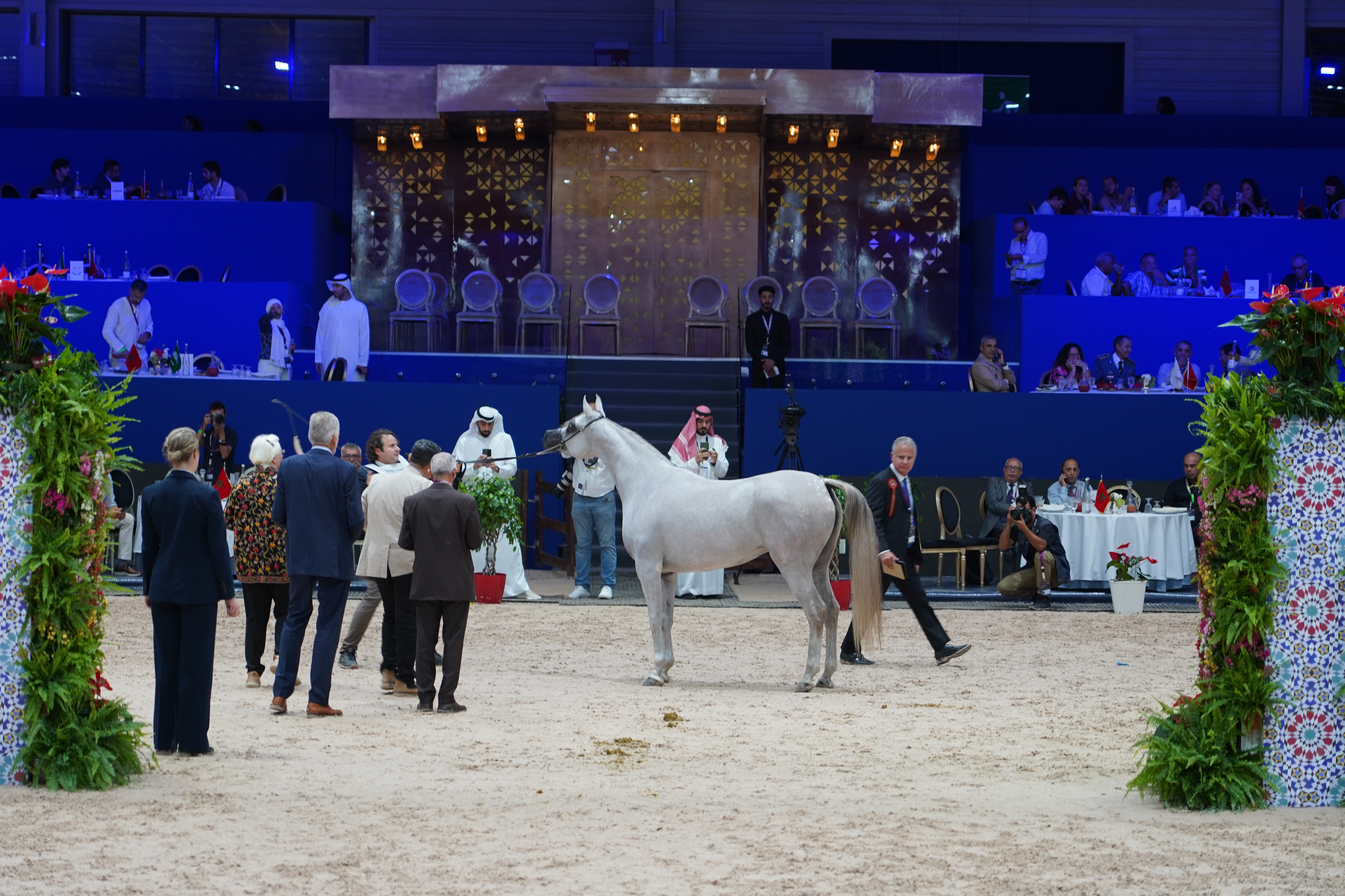 Culture | Retrouvez toute l'actualité du Maroc et du monde, en temps réel, sur le premier site d'information francophone au Maroc : www.le360.ma