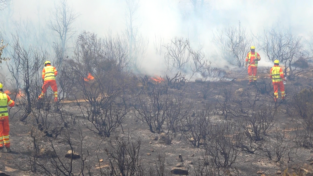 Société | Retrouvez toute l'actualité du Maroc et du monde, en temps réel, sur le premier site d'information francophone au Maroc : www.le360.ma