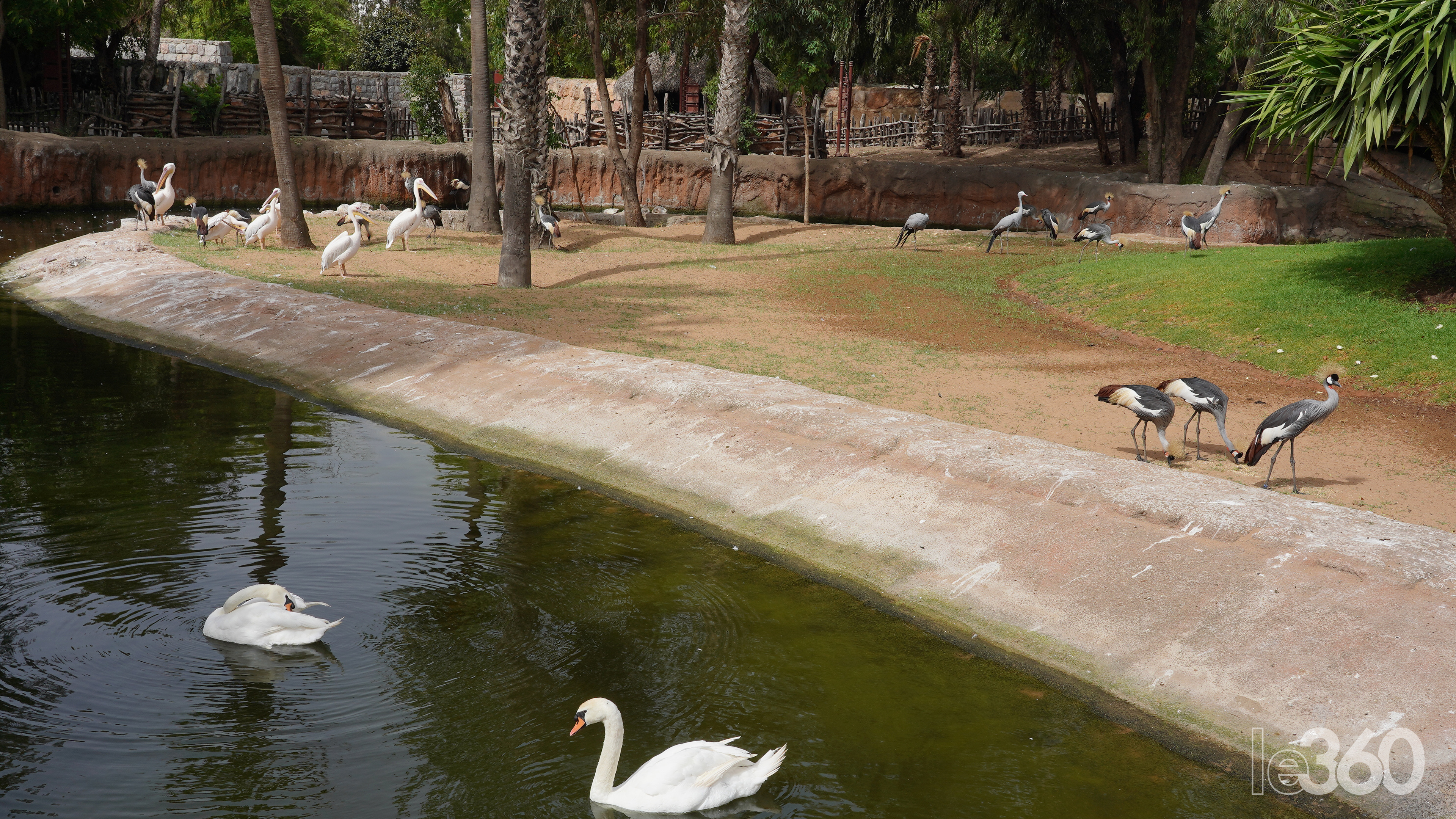 Société | Retrouvez toute l'actualité du Maroc et du monde, en temps réel, sur le premier site d'information francophone au Maroc : www.le360.ma