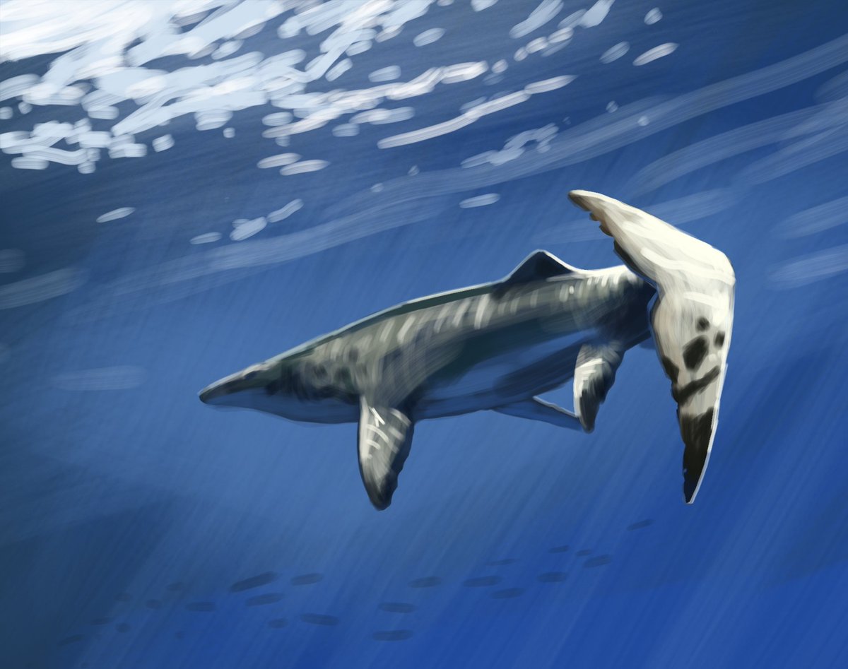 Culture | Retrouvez toute l'actualité du Maroc et du monde, en temps réel, sur le premier site d'information francophone au Maroc : www.le360.ma