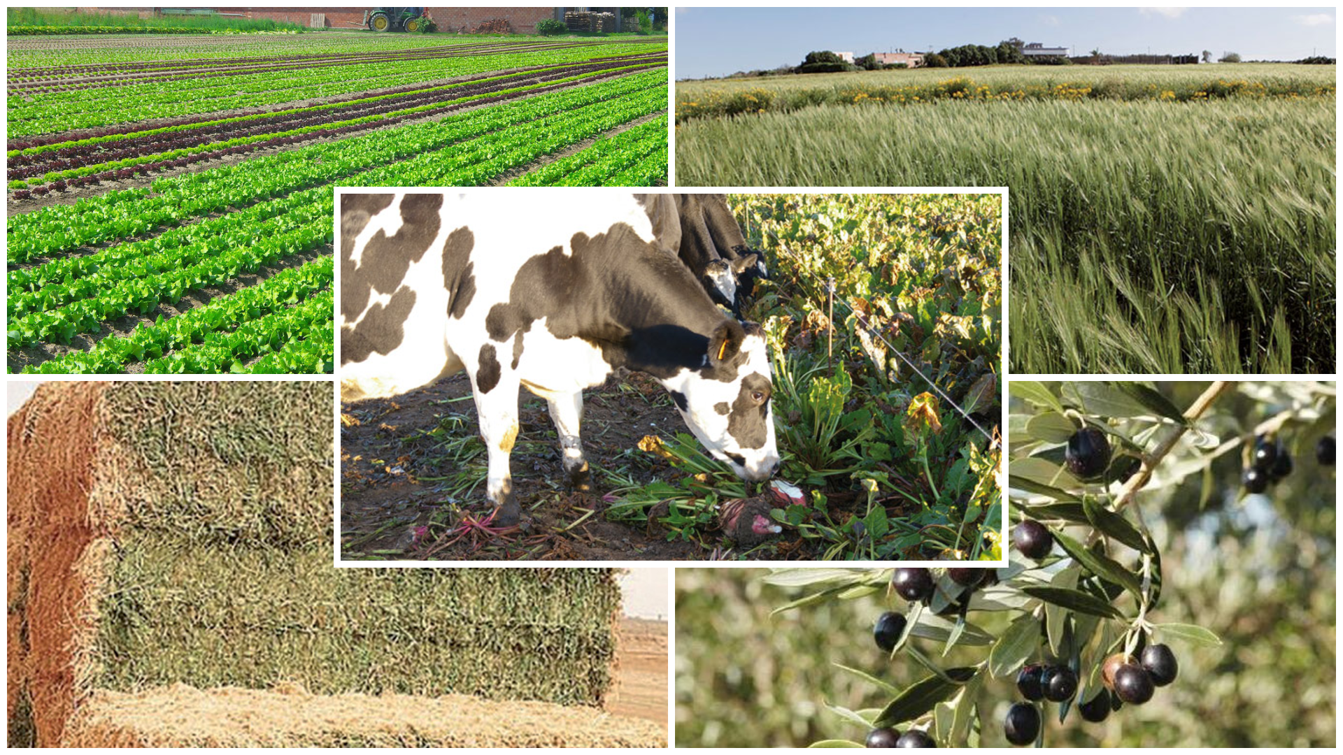 Economie | Retrouvez toute l'actualité du Maroc et du monde, en temps réel, sur le premier site d'information francophone au Maroc : www.le360.ma