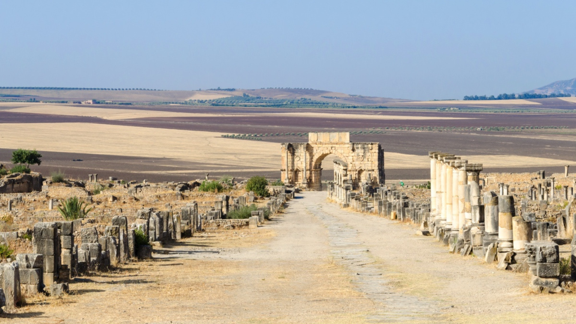 Culture | Retrouvez toute l'actualité du Maroc et du monde, en temps réel, sur le premier site d'information francophone au Maroc : www.le360.ma