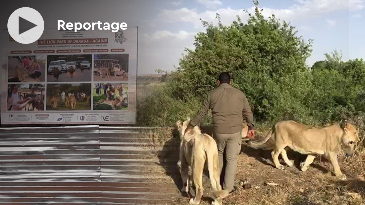 Société | Retrouvez toute l'actualité du Maroc et du monde, en temps réel, sur le premier site d'information francophone au Maroc : www.le360.ma