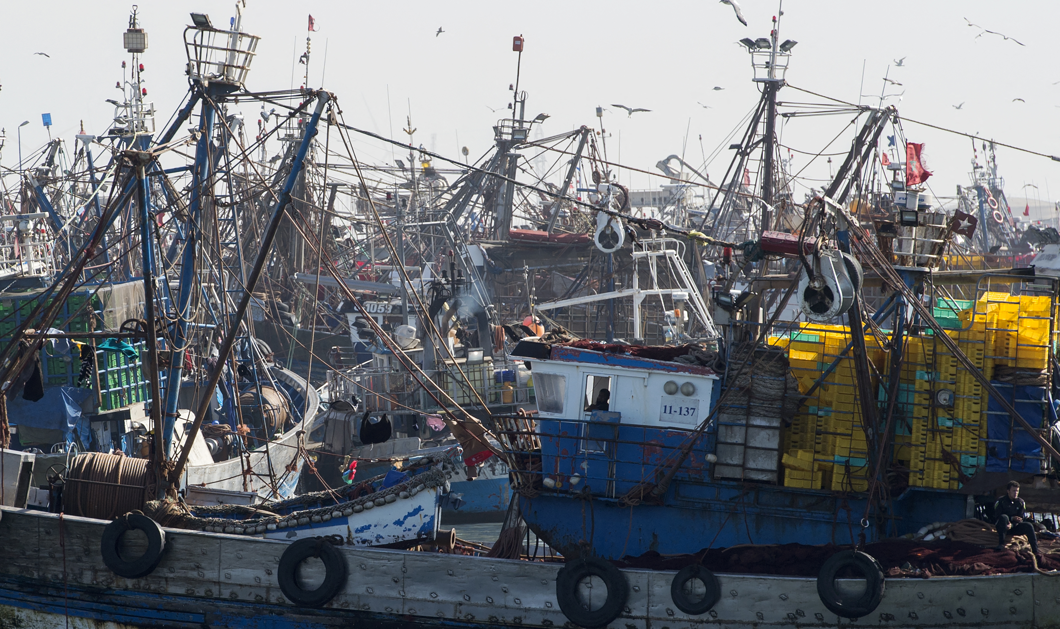 Economie | Retrouvez toute l'actualité du Maroc et du monde, en temps réel, sur le premier site d'information francophone au Maroc : www.le360.ma