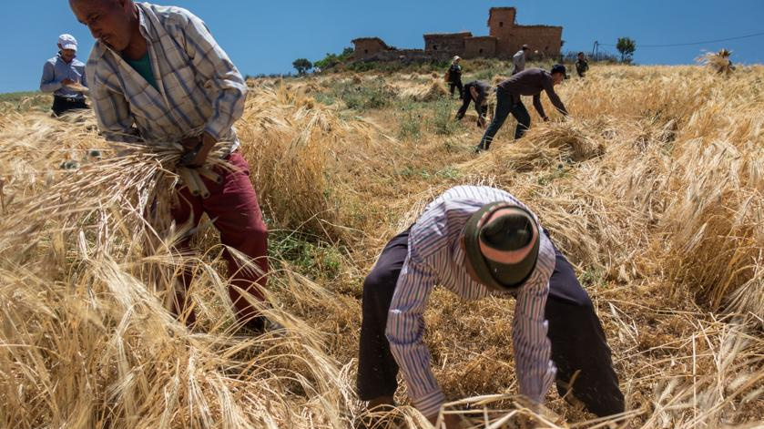 Société | Retrouvez toute l'actualité du Maroc et du monde, en temps réel, sur le premier site d'information francophone au Maroc : www.le360.ma