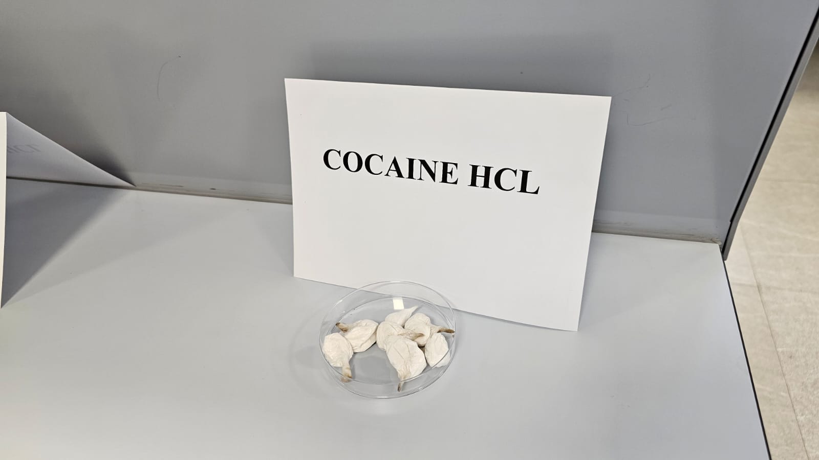 عينات من الكوكايين