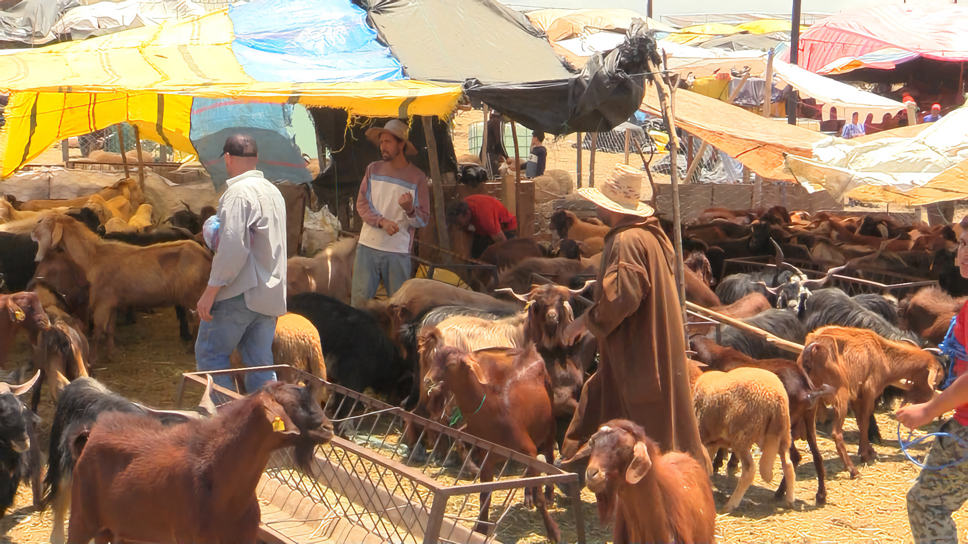 Economie | Retrouvez toute l'actualité du Maroc et du monde, en temps réel, sur le premier site d'information francophone au Maroc : www.le360.ma