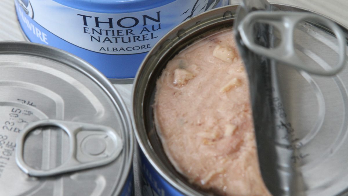 Société | Retrouvez toute l'actualité du Maroc et du monde, en temps réel, sur le premier site d'information francophone au Maroc : www.le360.ma