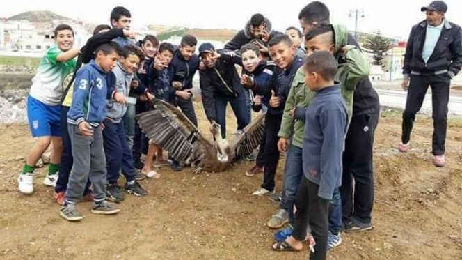 Société | Retrouvez toute l'actualité du Maroc et du monde, en temps réel, sur le premier site d'information francophone au Maroc : www.le360.ma