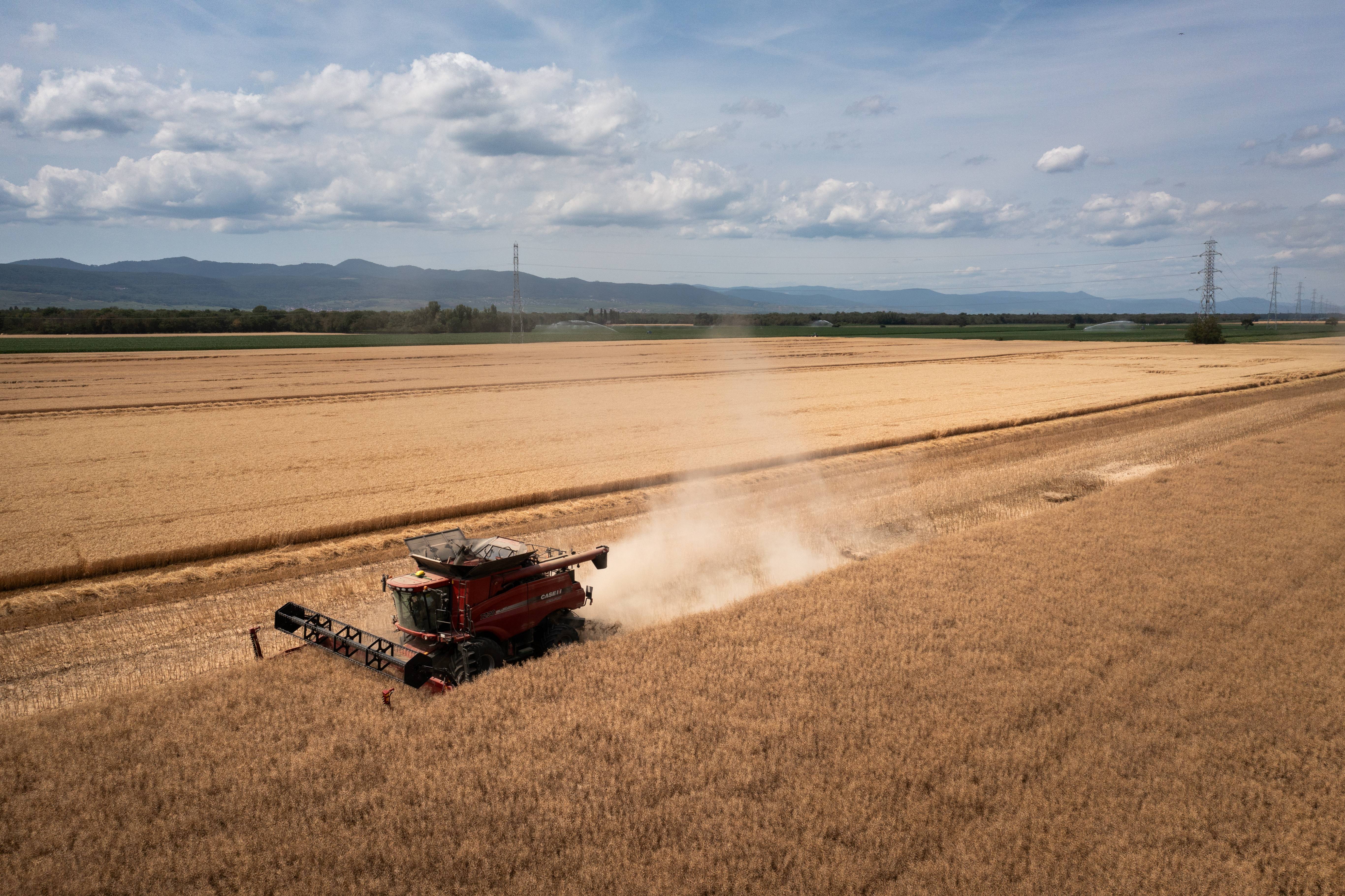 Monde | Retrouvez toute l'actualité du Maroc et du monde, en temps réel, sur le premier site d'information francophone au Maroc : www.le360.ma