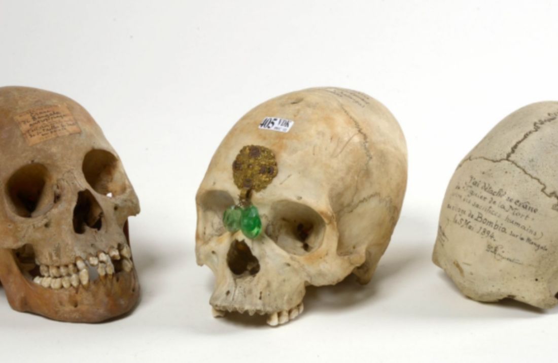 Scandale: des crânes africains vendus aux enchères en Belgique