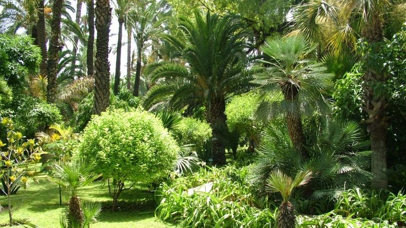 Conçus au 12e siècle, les jardins de l'Agdal sont les plus anciens jardins de Marrakech. Les grenadiers, orangers et oliviers sont irrigués grâce à plusieurs réservoirs remplis d'eau du Haut Atlas.
