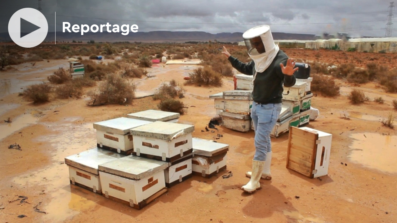 Société | Retrouvez toute l'actualité du Maroc et du monde, en temps réel, sur le premier site d'information francophone au Maroc : www.le360.ma