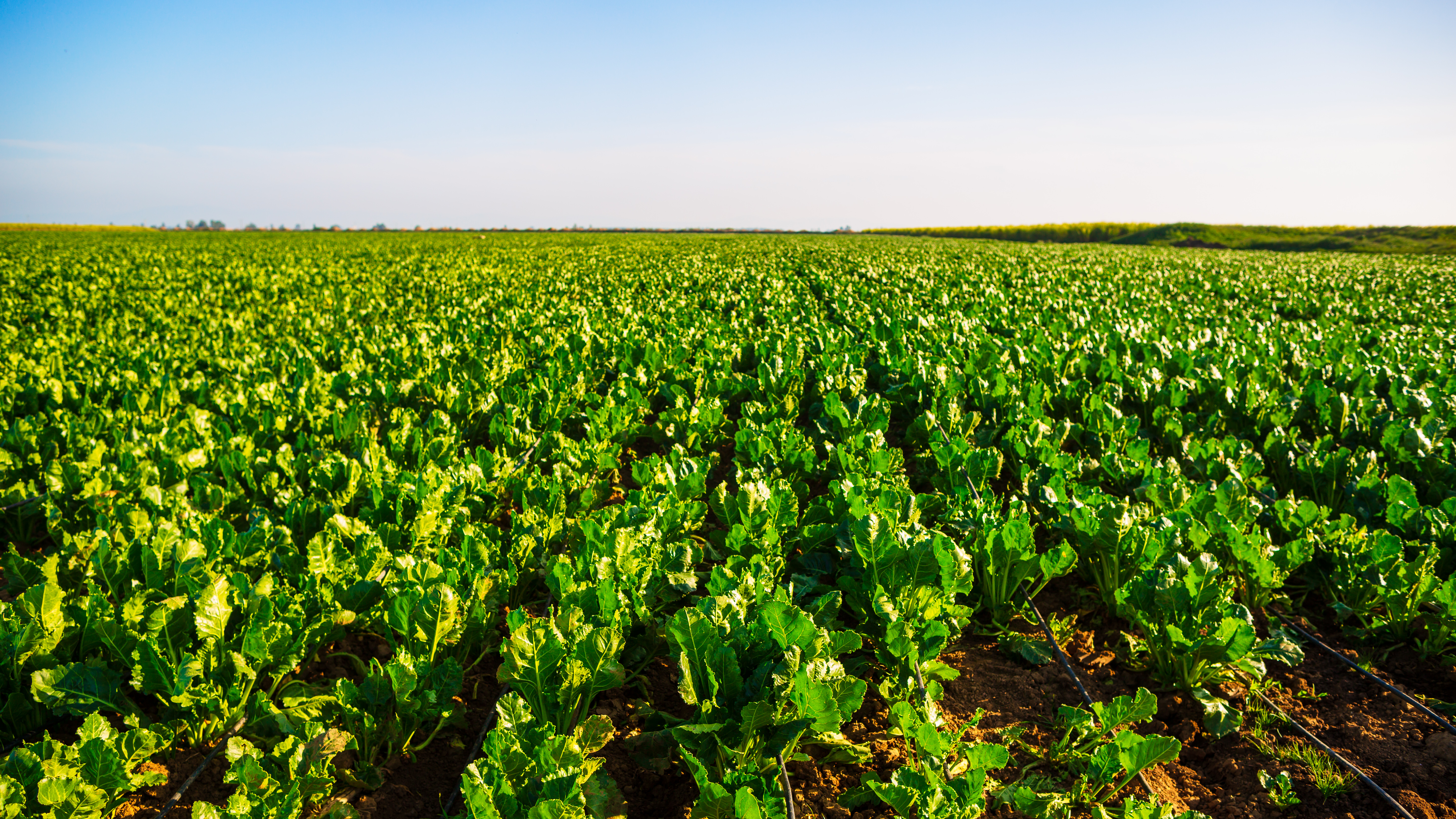 Economie | Retrouvez toute l'actualité du Maroc et du monde, en temps réel, sur le premier site d'information francophone au Maroc : www.le360.ma
