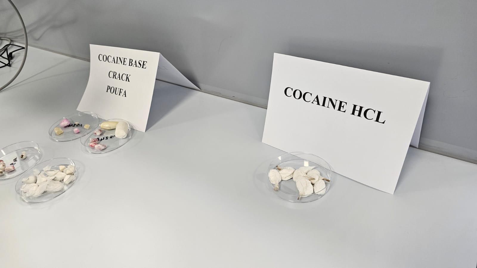 عينات من الكوكايين و"البوفا" و"الكراك"