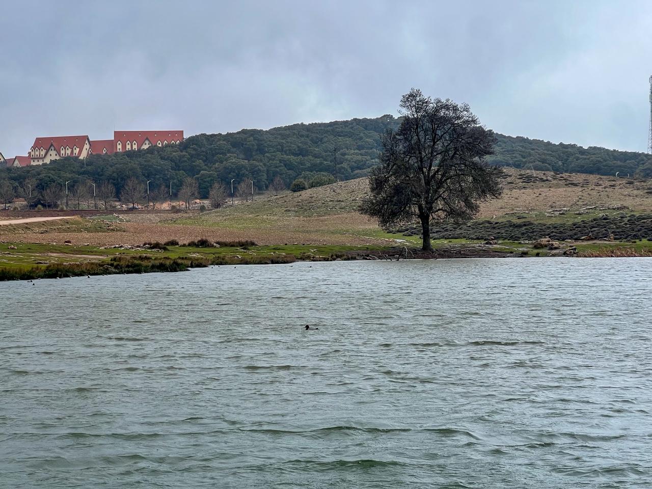 Société | Retrouvez toute l'actualité du Maroc et du monde, en temps réel, sur le premier site d'information francophone au Maroc : www.le360.ma