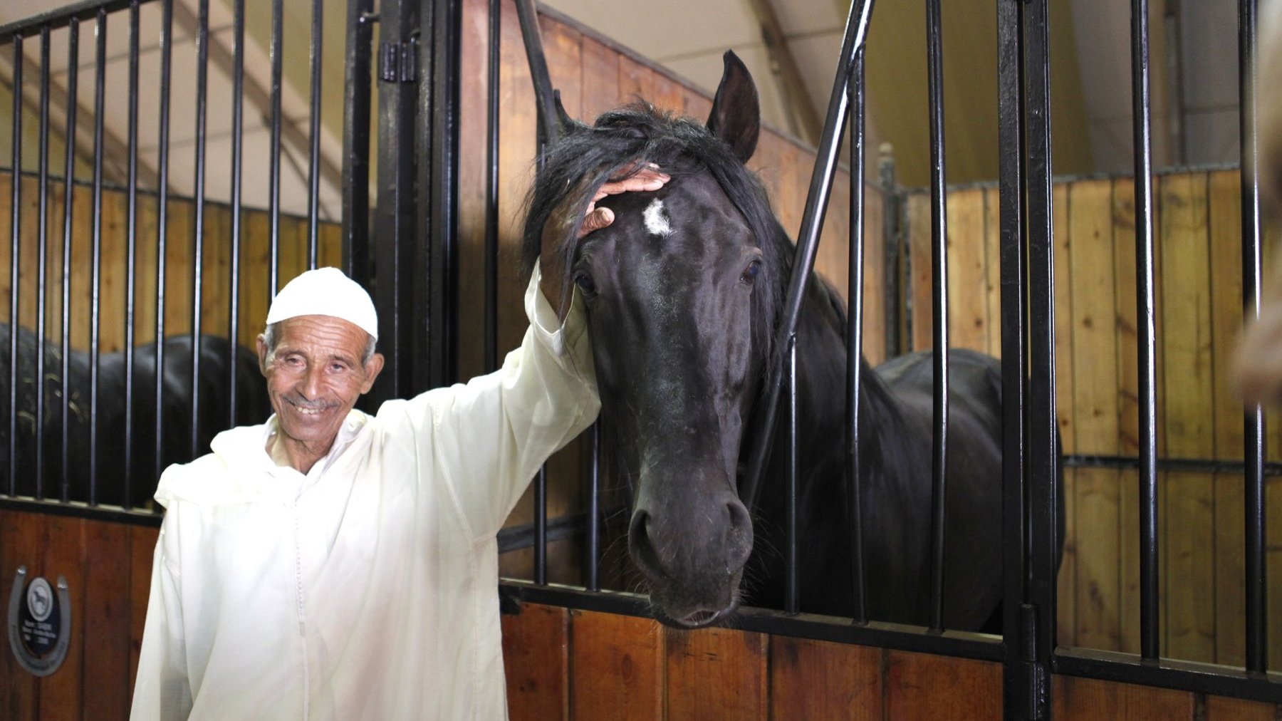 Le Salon d'El Jadida fête la noblesse du cheval et la place importante qu'il tient dans la culture marocaine. Un beau moment de complicité saisi ici par l'oeil du photographe et mettant merveilleusement en exergue le respect et l'amour que l'homme, dans ce pays, voue au cheval
