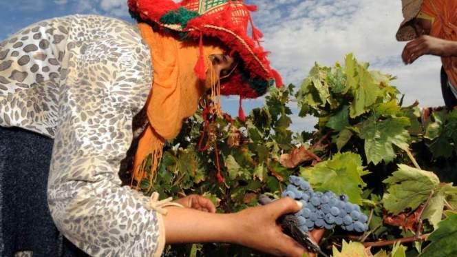 Economie | Retrouvez toute l'actualité du Maroc et du monde, en temps réel, sur le premier site d'information francophone au Maroc : www.le360.ma