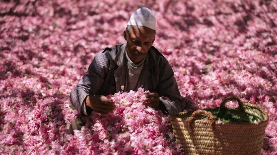 Economie | Retrouvez toute l'actualité du Maroc et du monde, en temps réel, sur le premier site d'information francophone au Maroc : www.le360.ma