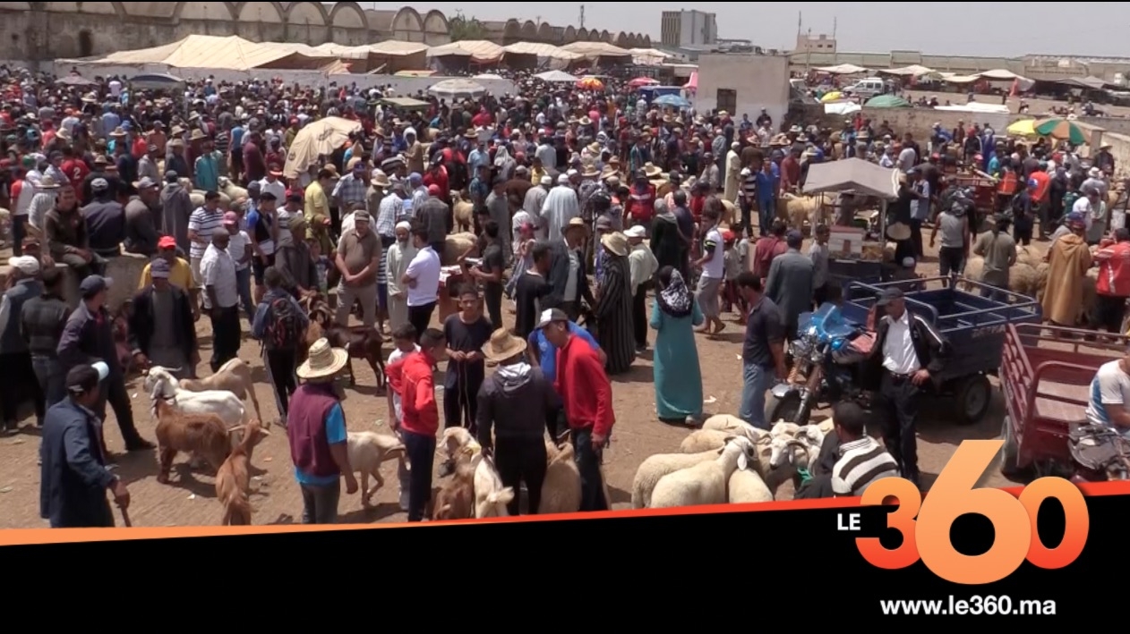 Société | Retrouvez toute l'actualité du Maroc et du monde, en temps réel, sur le premier site d'information francophone au Maroc : www.le360.ma