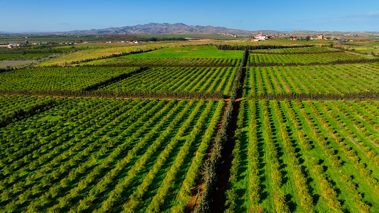 Economie | Retrouvez toute l'actualité du Maroc et du monde, en temps réel, sur le premier site d'information francophone au Maroc : www.le360.ma