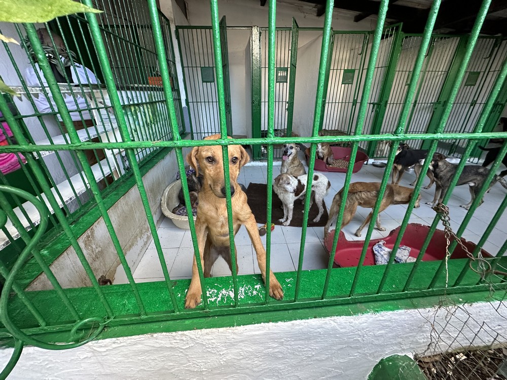 Société | Retrouvez toute l'actualité du Maroc et du monde, en temps réel, sur le premier site d'information francophone au Maroc : www.le360.ma