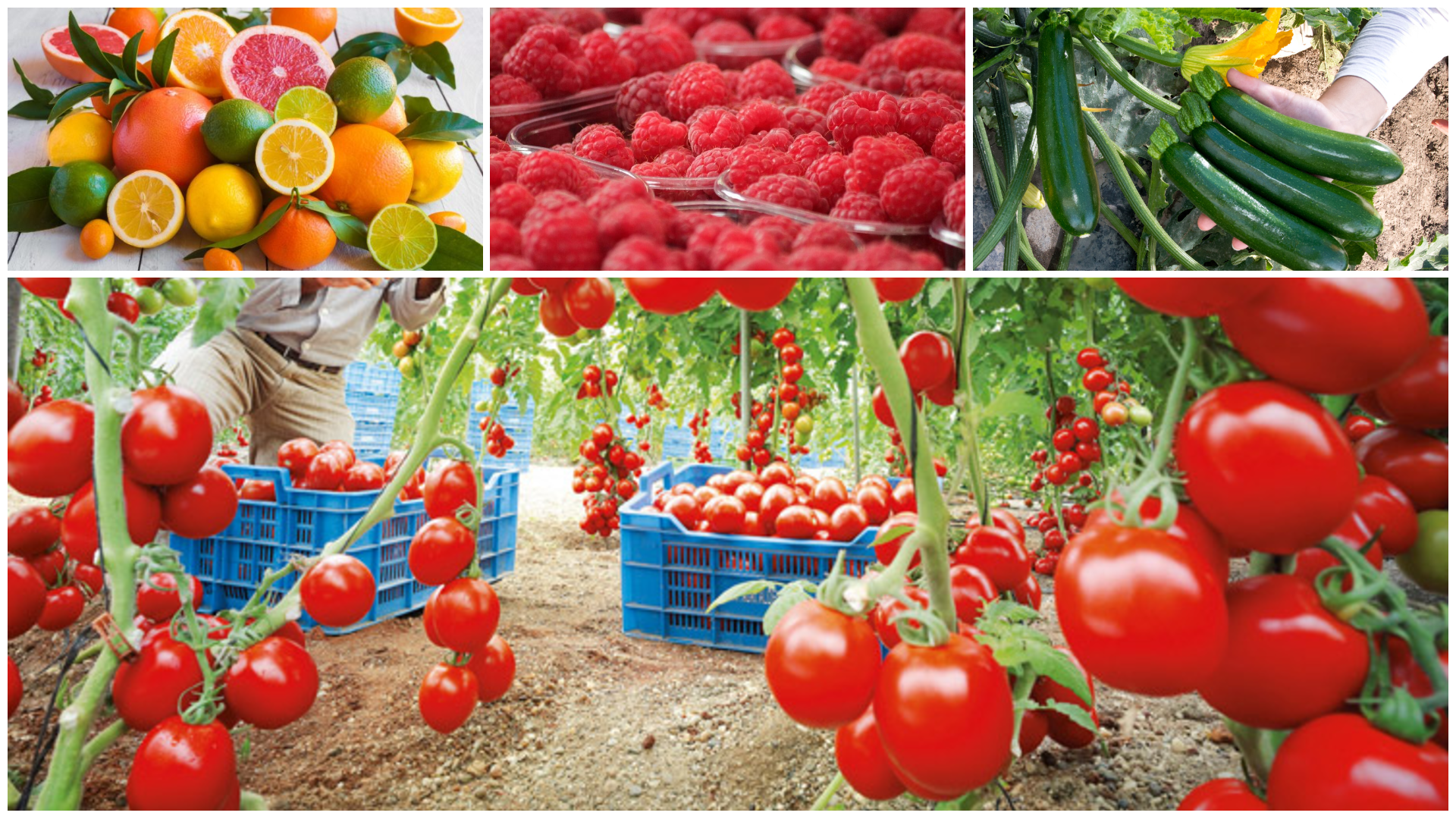 Economie | Retrouvez toute l'actualité du Maroc et du monde, en temps réel, sur le premier site d'information francophone au Maroc : www.le360.ma