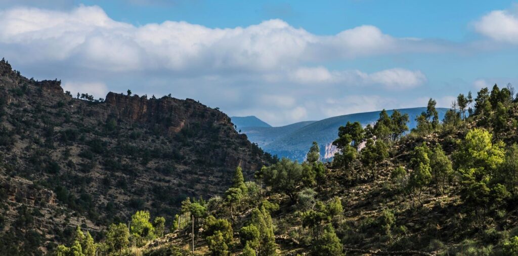 Société | Retrouvez toute l'actualité du Maroc et du monde, en temps réel, sur le premier site d'information francophone au Maroc : www.le360.ma