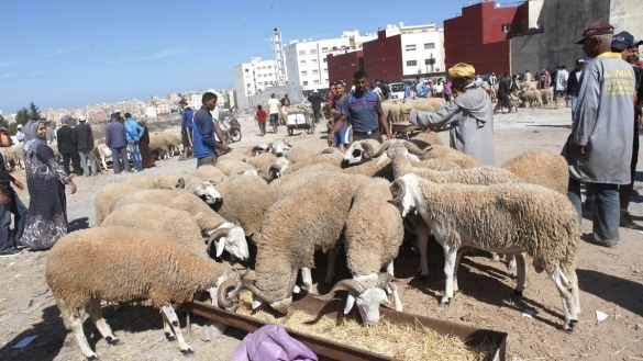 Economie | Retrouvez toute l'actualité du Maroc et du monde, en temps réel, sur le premier site d'information francophone au Maroc : www.le360.ma