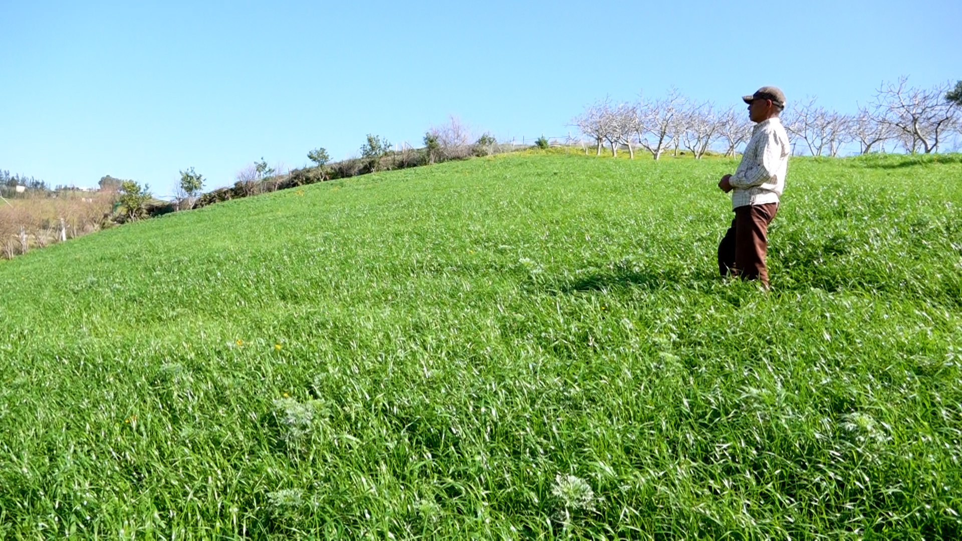 Société | Retrouvez toute l'actualité du Maroc et du monde, en temps réel, sur le premier site d'information francophone au Maroc : www.le360.ma