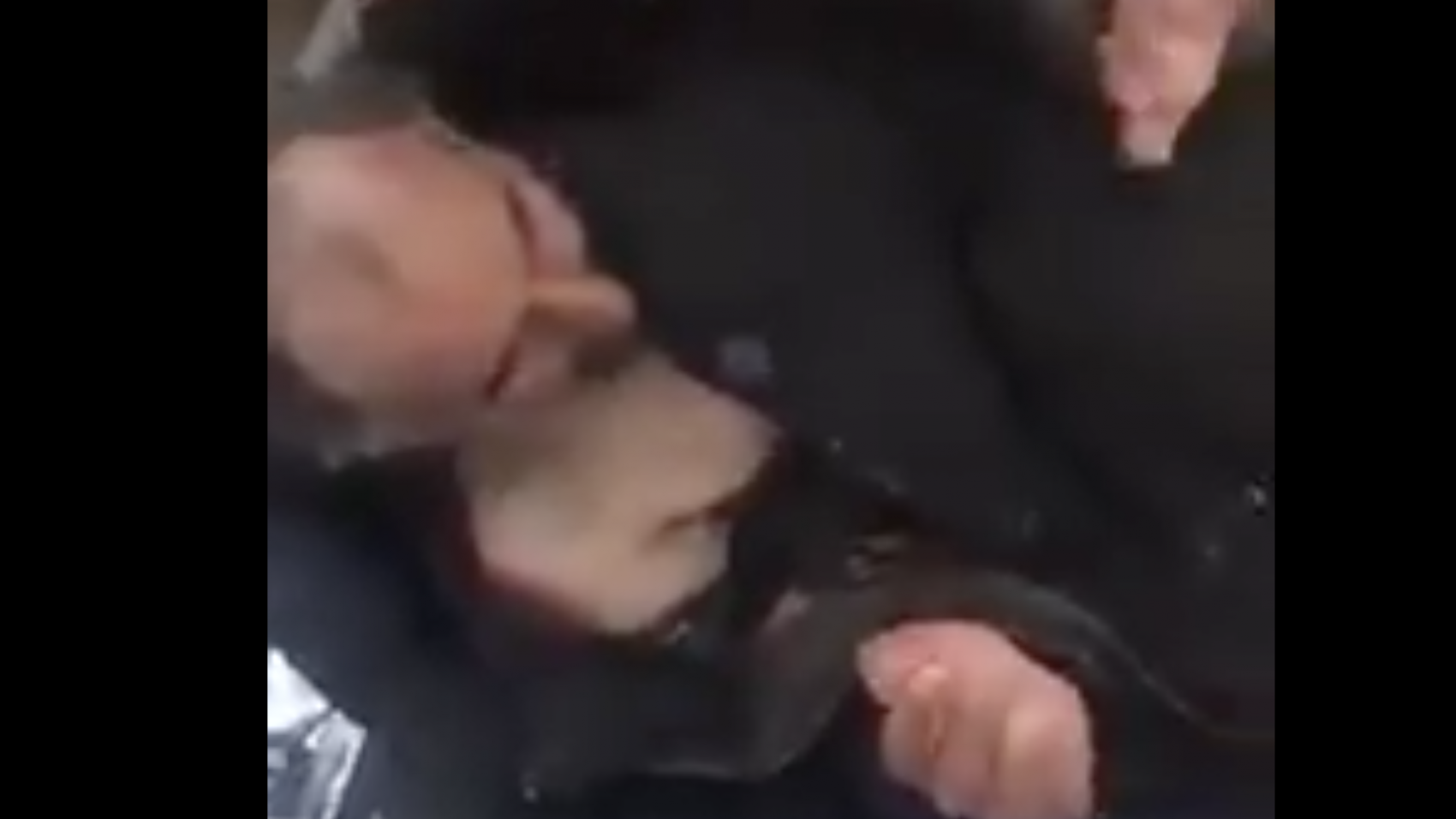 Société | Retrouvez toute l'actualité du Maroc et du monde, en temps réel, sur le premier site d'information francophone au Maroc : www.le360.ma