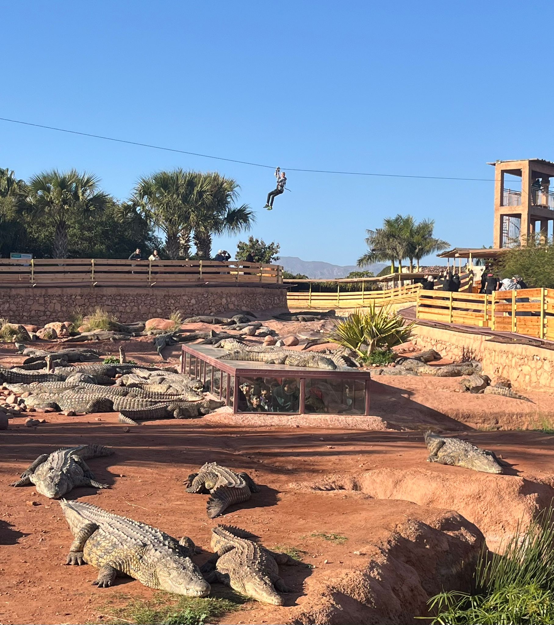 Société | Retrouvez toute l'actualité du Maroc et du monde, en temps réel, sur le premier site d'information francophone au Maroc : www.le360.ma