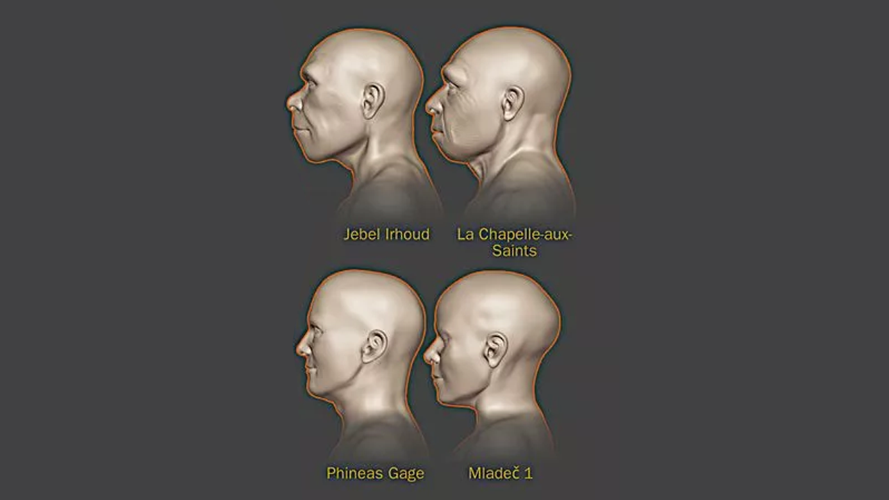 WGVTW3FVYZFZ7CPFB3BB3HJ4PY - أسفي كود | safigoud.com