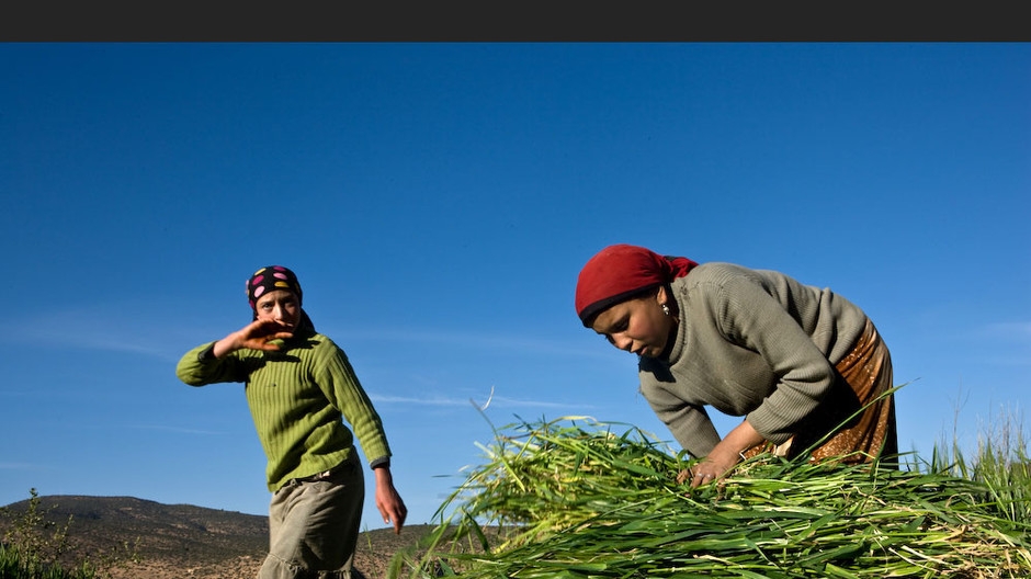 Economie | Retrouvez toute l'actualité du Maroc et du monde, en temps réel, sur le premier site d'information francophone au Maroc : www.le360.ma