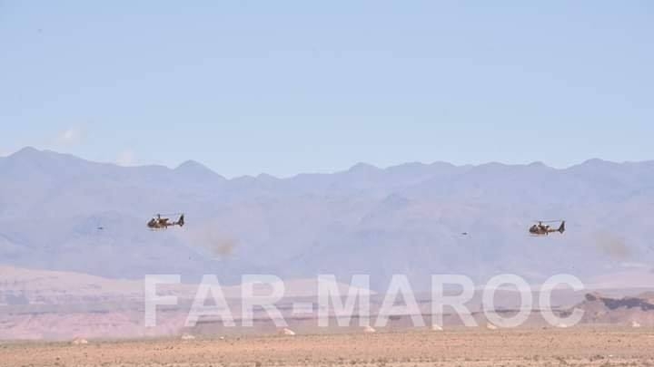 Opération ratissage en terrain hostile menée par des hélicoptères de type Gazelle (France)! 
