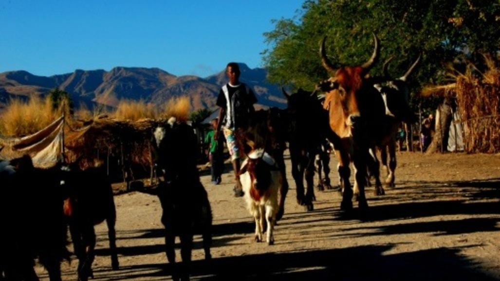 Monde | Retrouvez toute l'actualité du Maroc et du monde, en temps réel, sur le premier site d'information francophone au Maroc : www.le360.ma