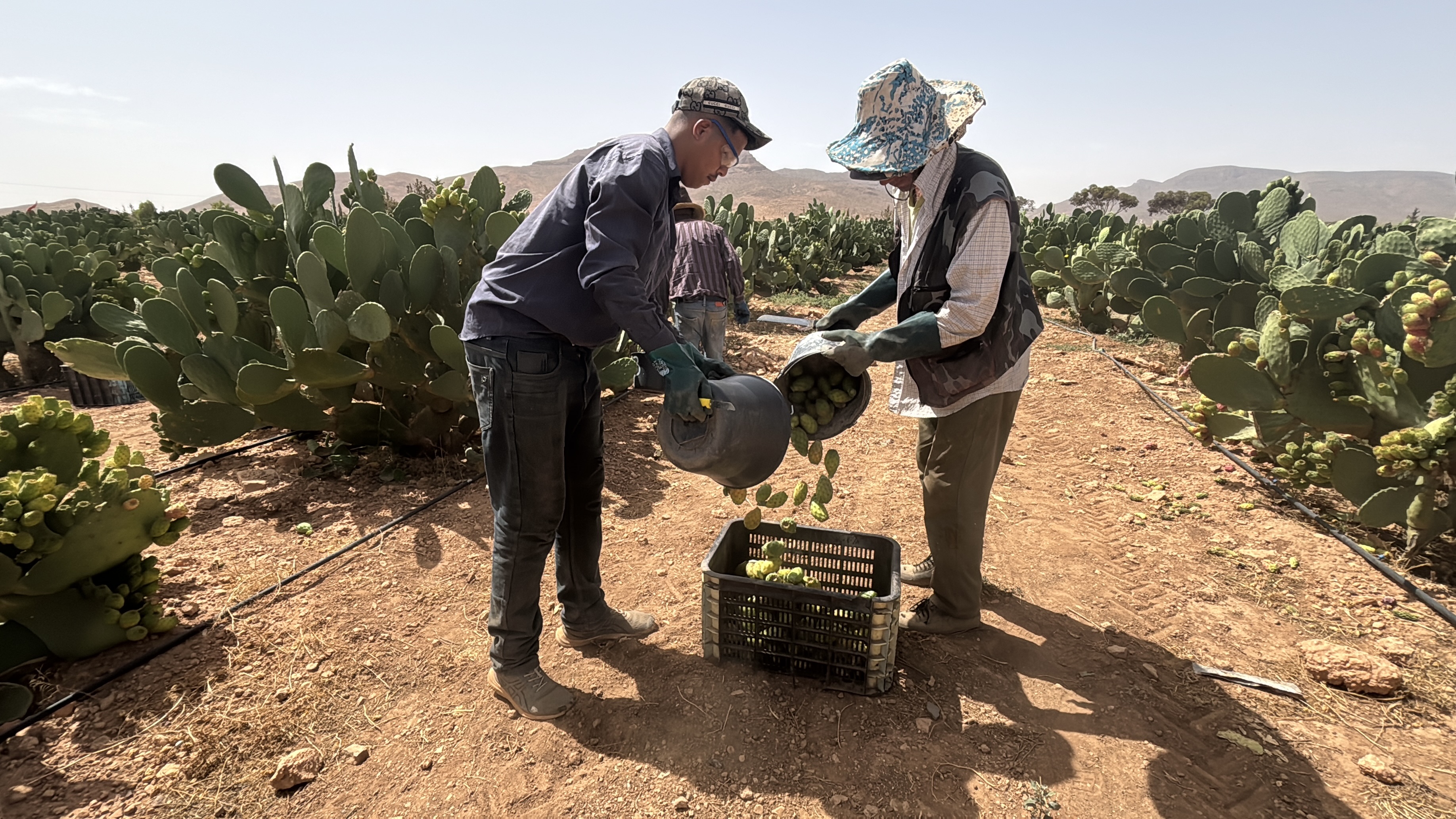 Economie | Retrouvez toute l'actualité du Maroc et du monde, en temps réel, sur le premier site d'information francophone au Maroc : www.le360.ma