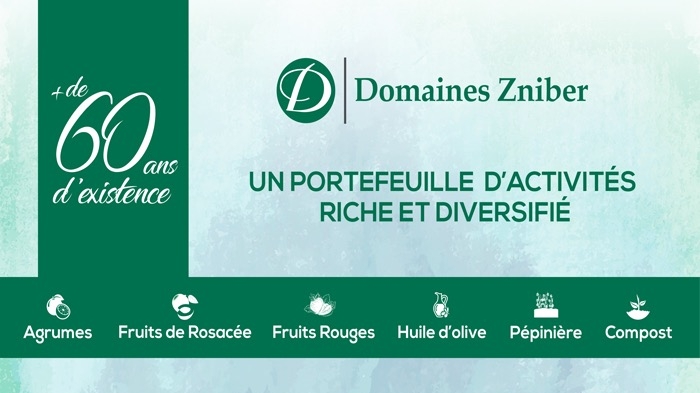 Economie | Retrouvez toute l'actualité du Maroc et du monde, en temps réel, sur le premier site d'information francophone au Maroc : www.le360.ma