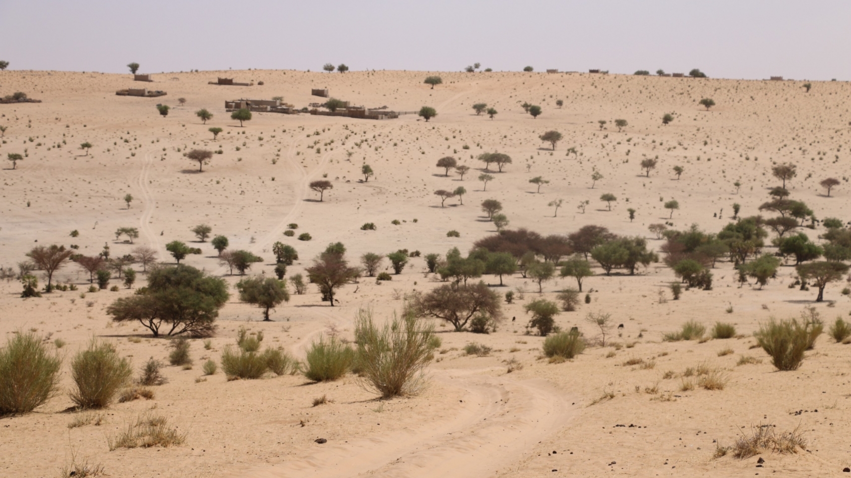 Monde | Retrouvez toute l'actualité du Maroc et du monde, en temps réel, sur le premier site d'information francophone au Maroc : www.le360.ma