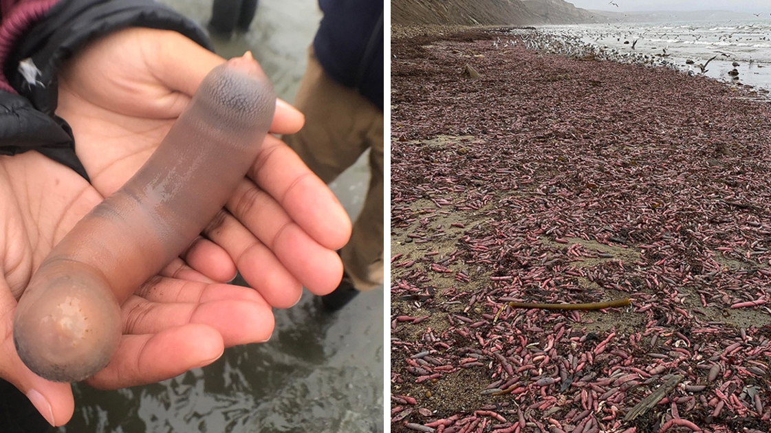 Lifestyle | Retrouvez toute l'actualité du Maroc et du monde, en temps réel, sur le premier site d'information francophone au Maroc : www.le360.ma