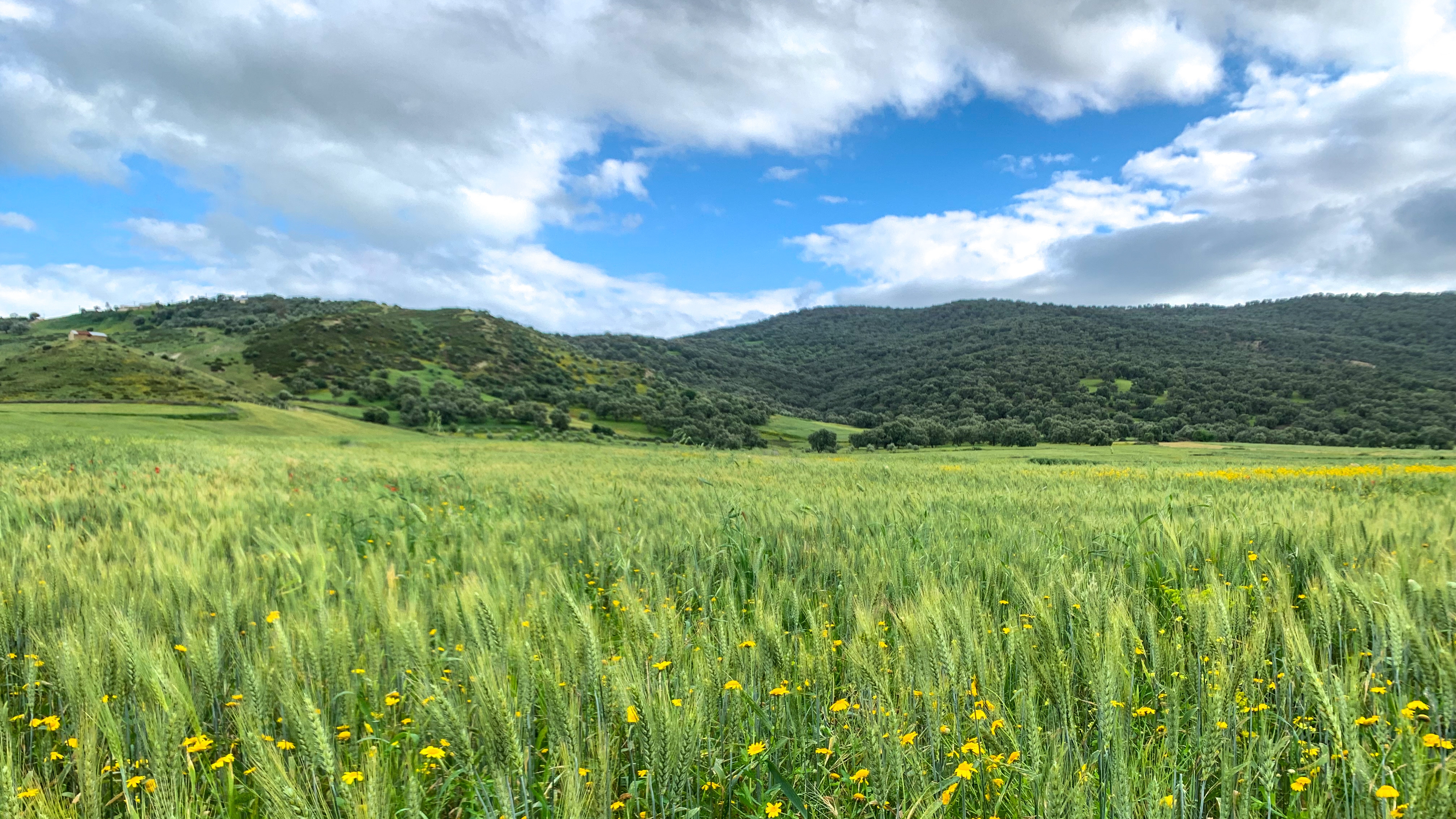 Economie | Retrouvez toute l'actualité du Maroc et du monde, en temps réel, sur le premier site d'information francophone au Maroc : www.le360.ma